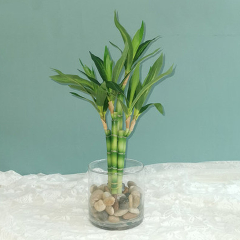 New 40cm Artificial Lucky Bamb - Desk Setup Plant ulasan dan harga