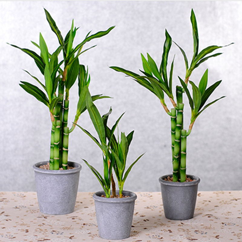 New 40cm Artificial Lucky Bamb - Desk Setup Plant ulasan dan harga
