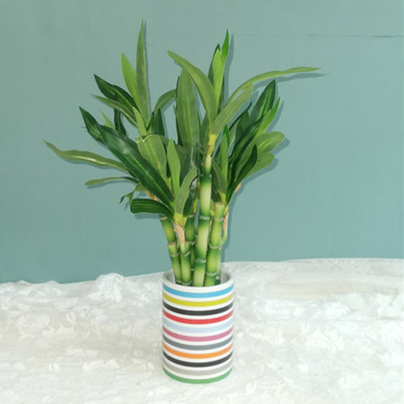 New 40cm Artificial Lucky Bamb - Desk Setup Plant ulasan dan harga