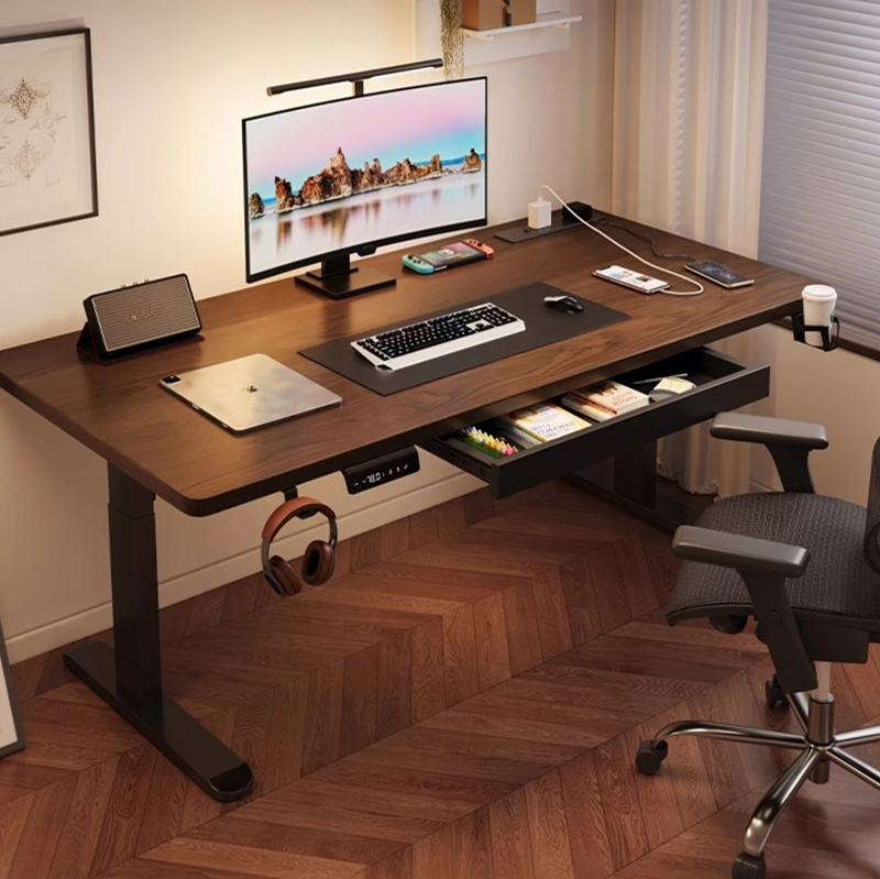 Modern Iron Dual Motor Electri - Desk Setup In Office ulasan dan harga